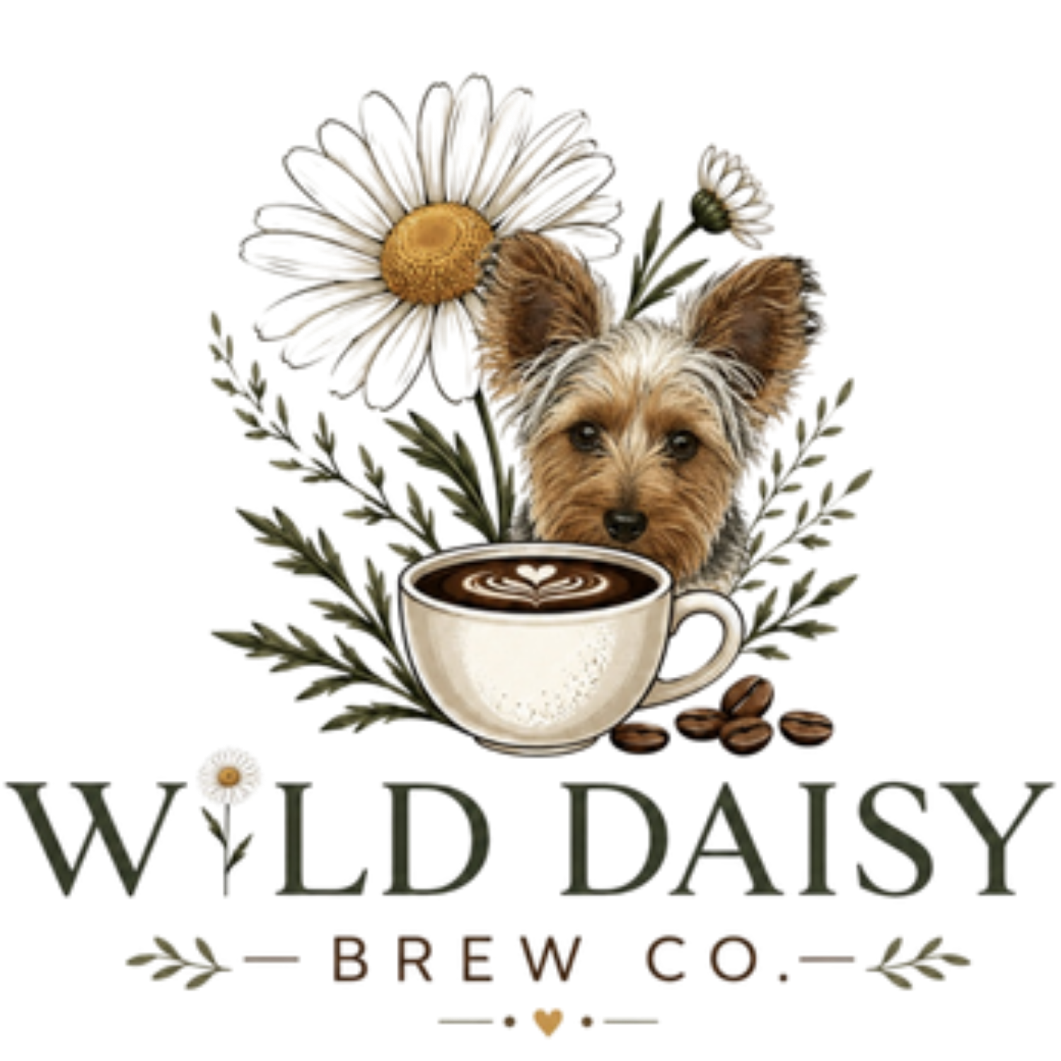 Wild Daisy Brew Co.
